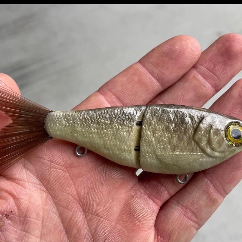 5” Custom Glide Bait for Fishing - Fishing Lure